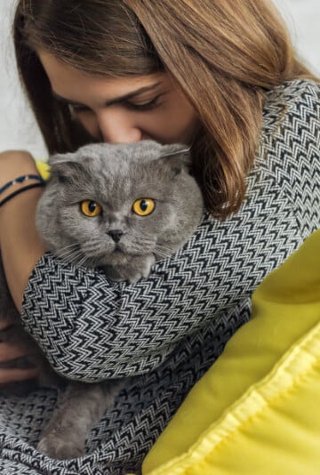 Woman holding and hugging a gray cat