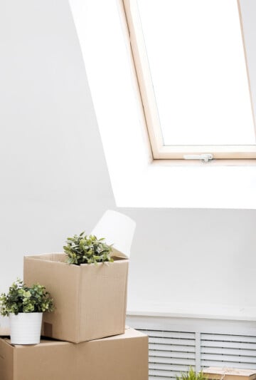 Woman holding her gray cat in new home with moving boxes