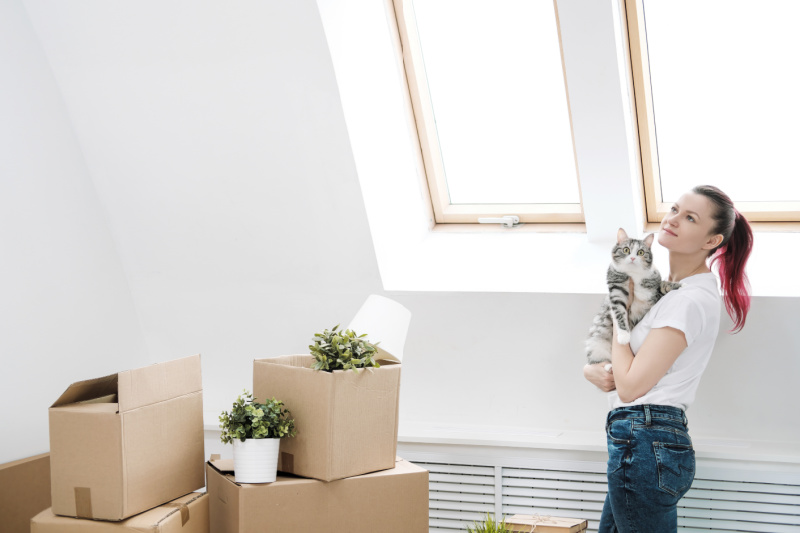 How to Successfully Move With Your Cat Miss Molly Says