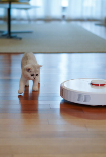 Two cats watching a Roomba vacuum cleaner