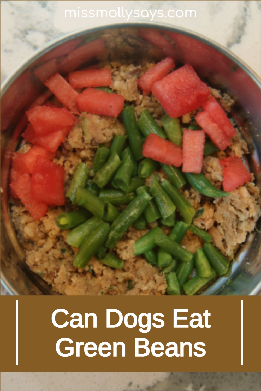 Can Dogs Eat Green Beans Miss Molly Says