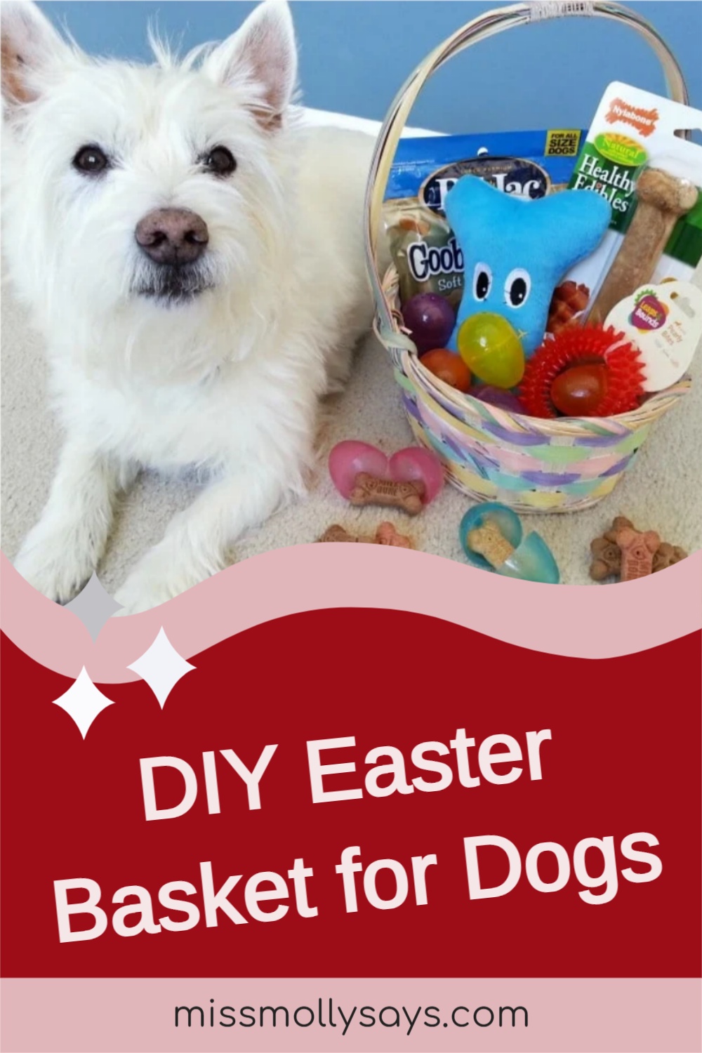 DIY Easter Basket for Dogs Miss Molly Says