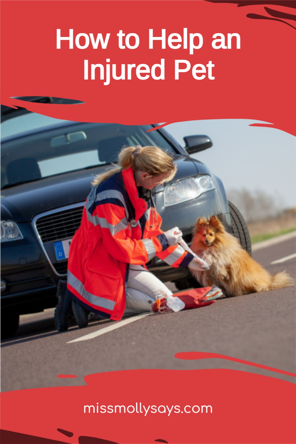 How to Help an Injured Pet Miss Molly Says