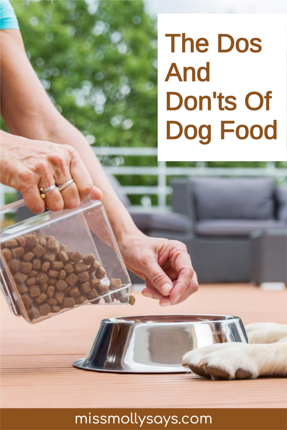 The Dos And Don'ts Of Dog Food Miss Molly Says