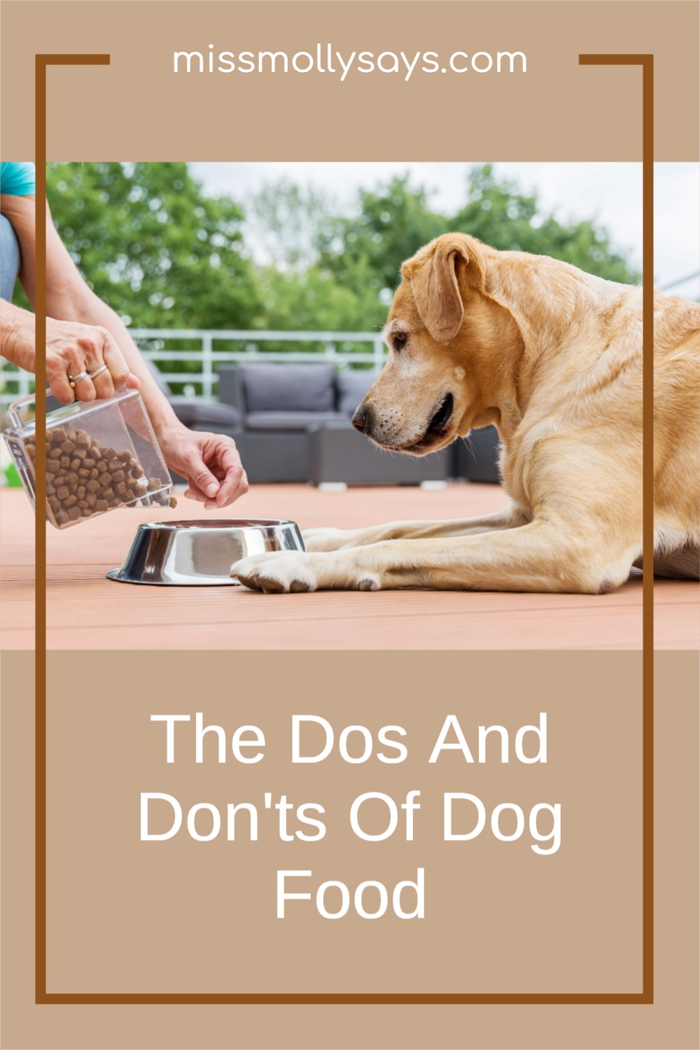 The Dos And Don'ts Of Dog Food Miss Molly Says