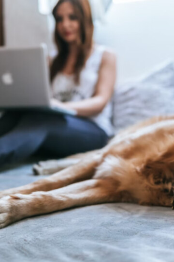 Woman sitting on bed working on laptop with her large brown dog laying beside her.