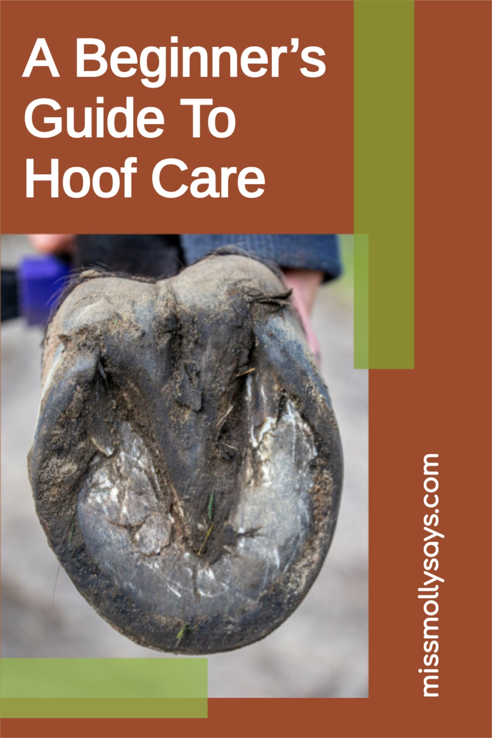 A Beginner’s Guide To Hoof Care Miss Molly Says