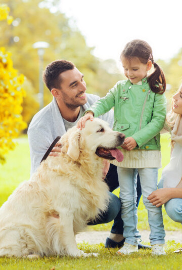 A man, woman, and child with their smiling Golden lab in a park.
