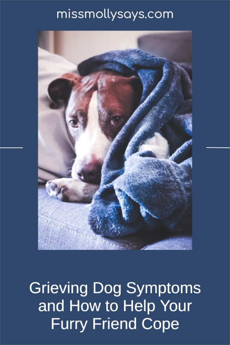 Grieving Dog Symptoms and How to Help Your Furry Friend Cope