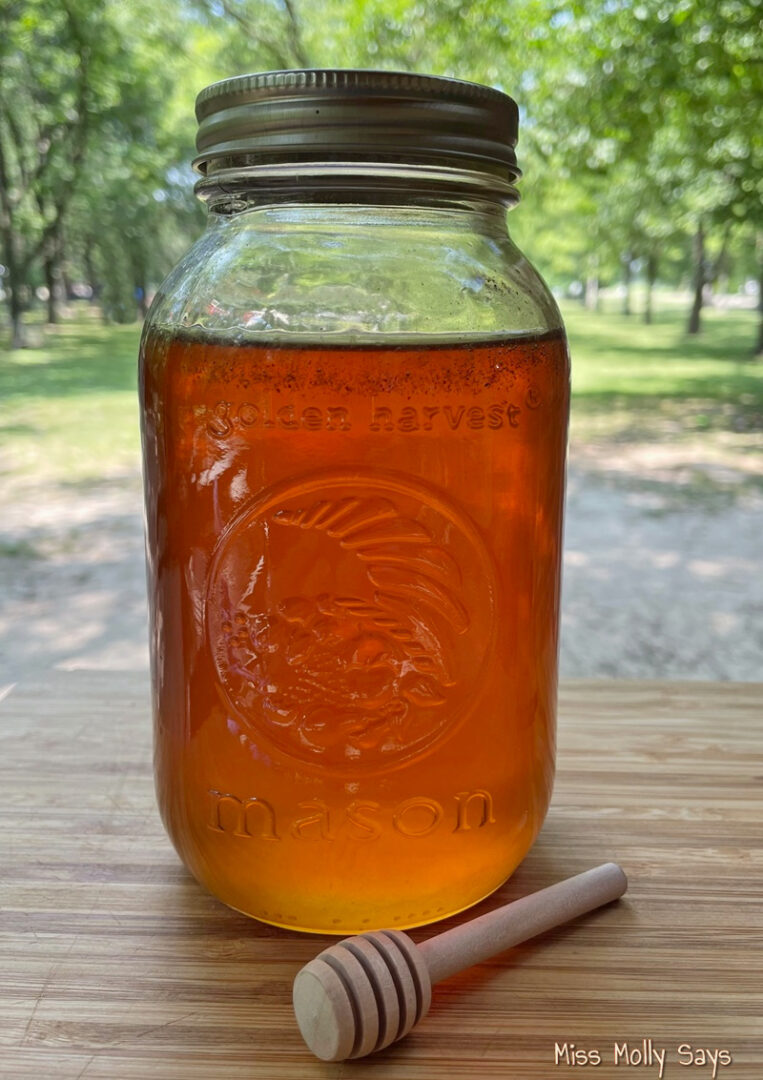 Can Dogs Eat Honey? Benefits and Risks Miss Molly Says