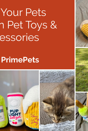 Spoil Your Pets with Fun Pet Toys & Accessories from PrimePets