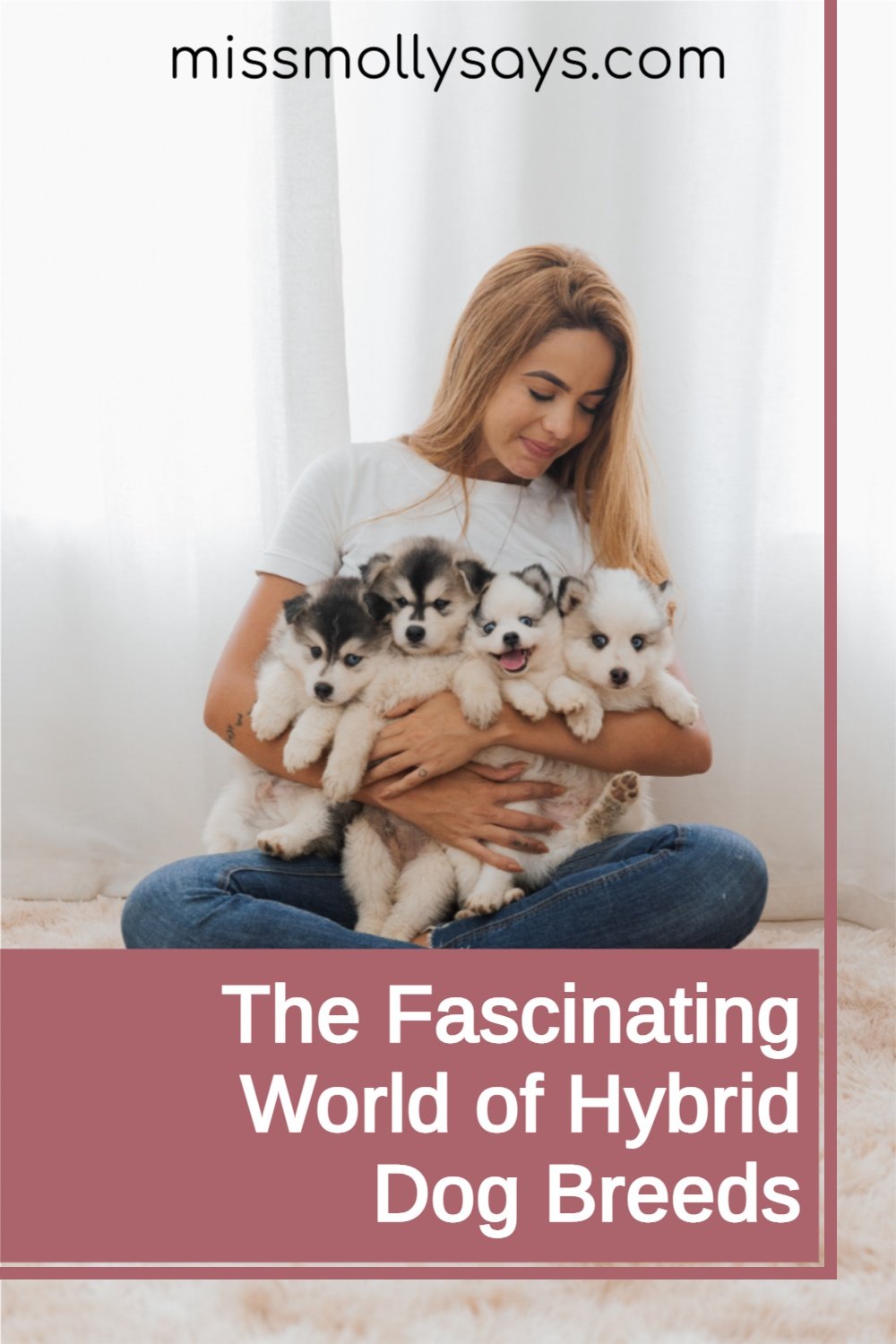 The Fascinating World of Hybrid Dog Breeds Miss Molly Says