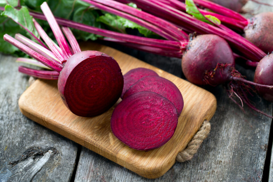 Can Dogs Eat Beets? Find out in this Comprehensive Guide