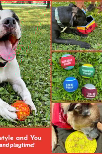 P.L.A.Y. Pet Lifestyle and You - fun adventures and playtime