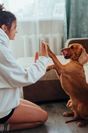 Woman giving high five to her dog
