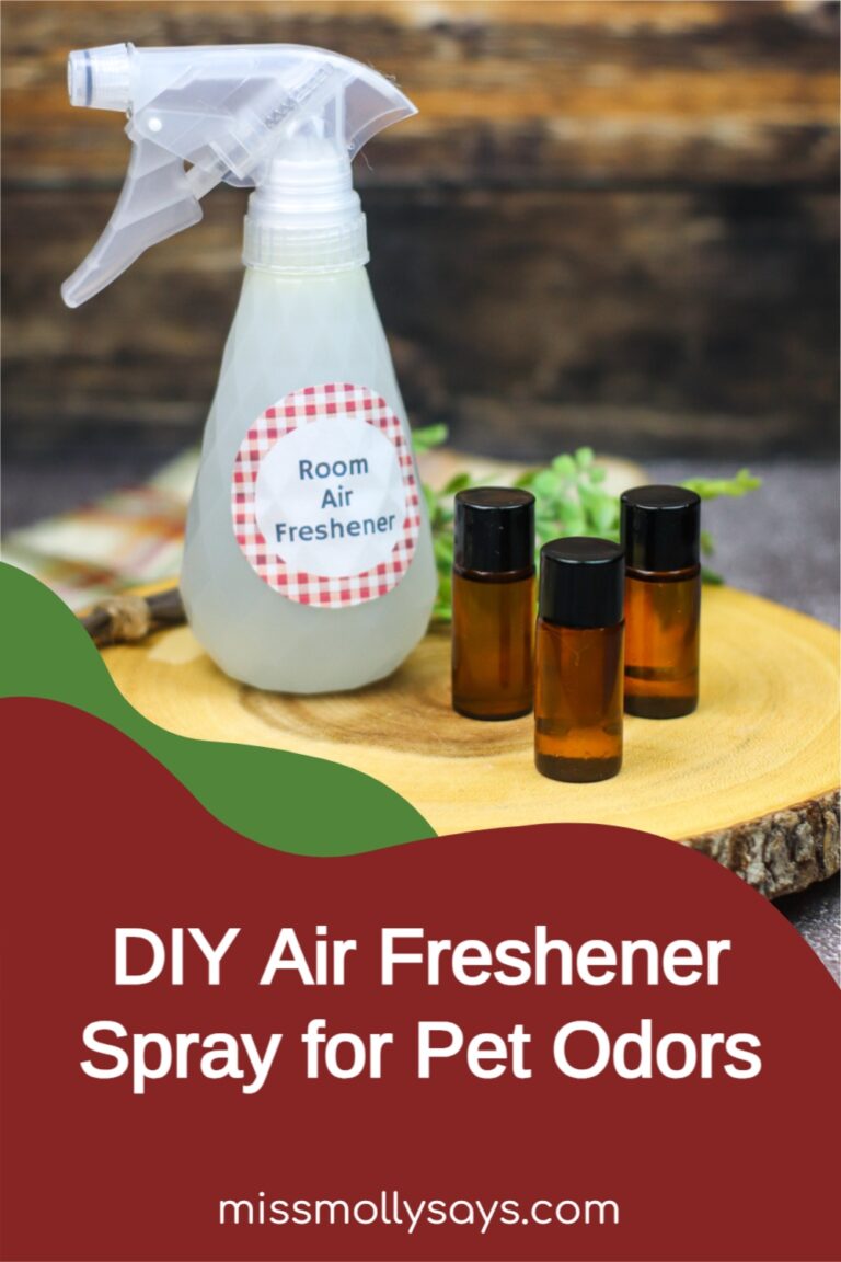 DIY Air Freshener Spray Recipe for Pet Odors Using Essential Oils