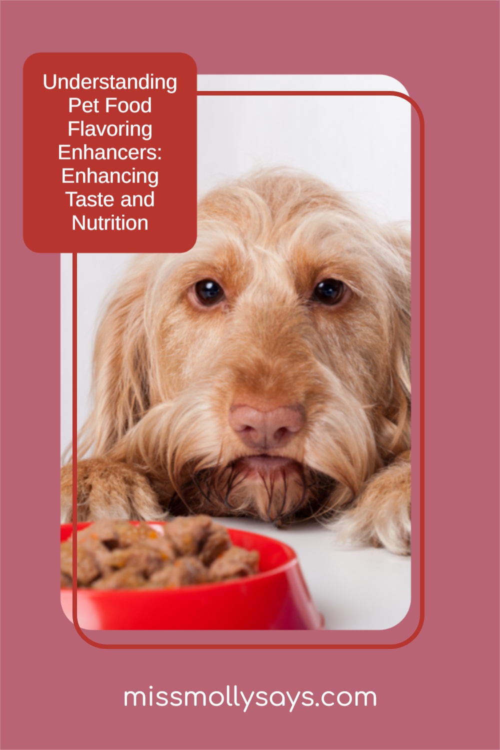 Understanding Pet Food Flavoring Enhancers Enhancing Taste and Nutrition