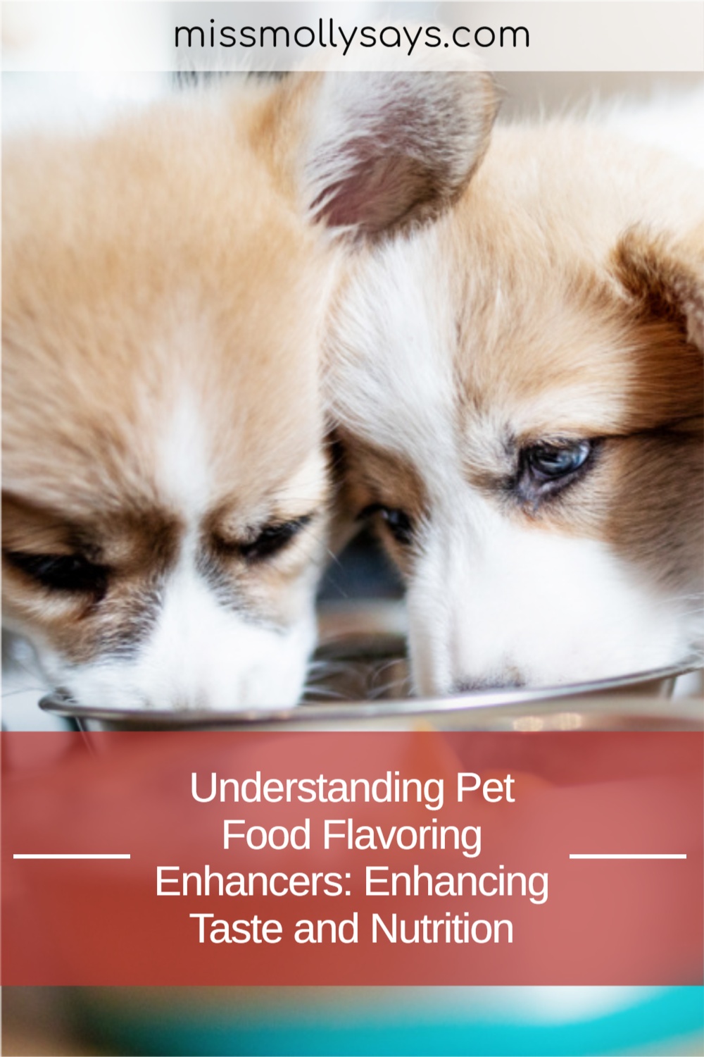 Understanding Pet Food Flavoring Enhancers Enhancing Taste and Nutrition