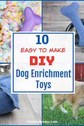 10 Easy to Make DIY Dog Enrichment Toys
