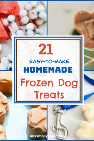 21 Easy-to-Make Homemade Frozen Dog Treats