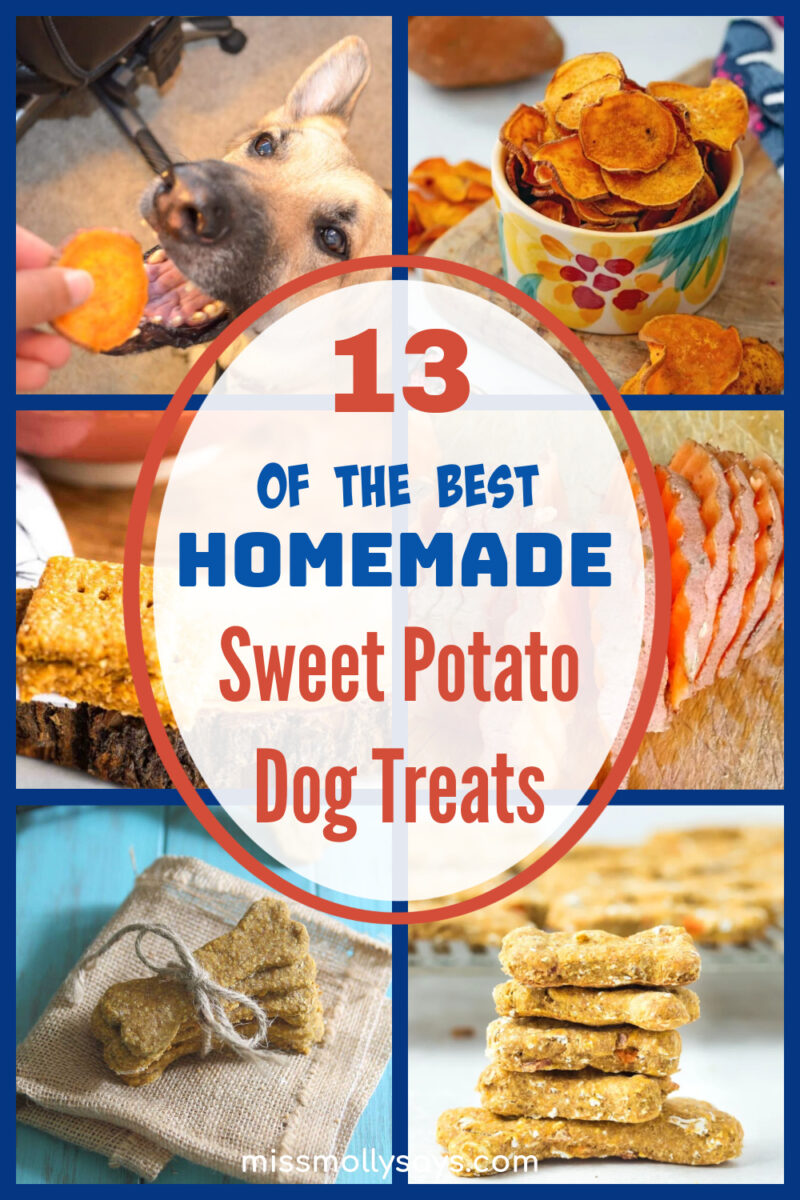 13 of the BEST Homemade Sweet Potato Dog Treats Miss Molly Says