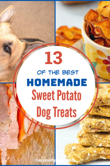 13 of the BEST Homemade Sweet Potato Dog Treats