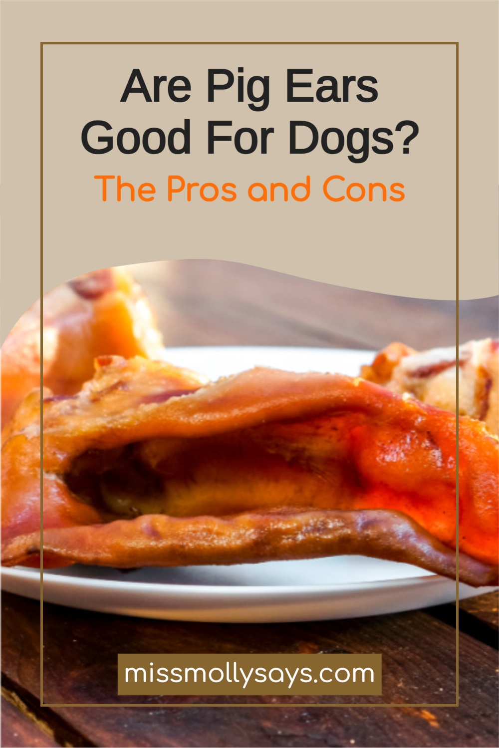 Are Pig Ears Good For Dogs? The Pros and Cons Miss Molly Says