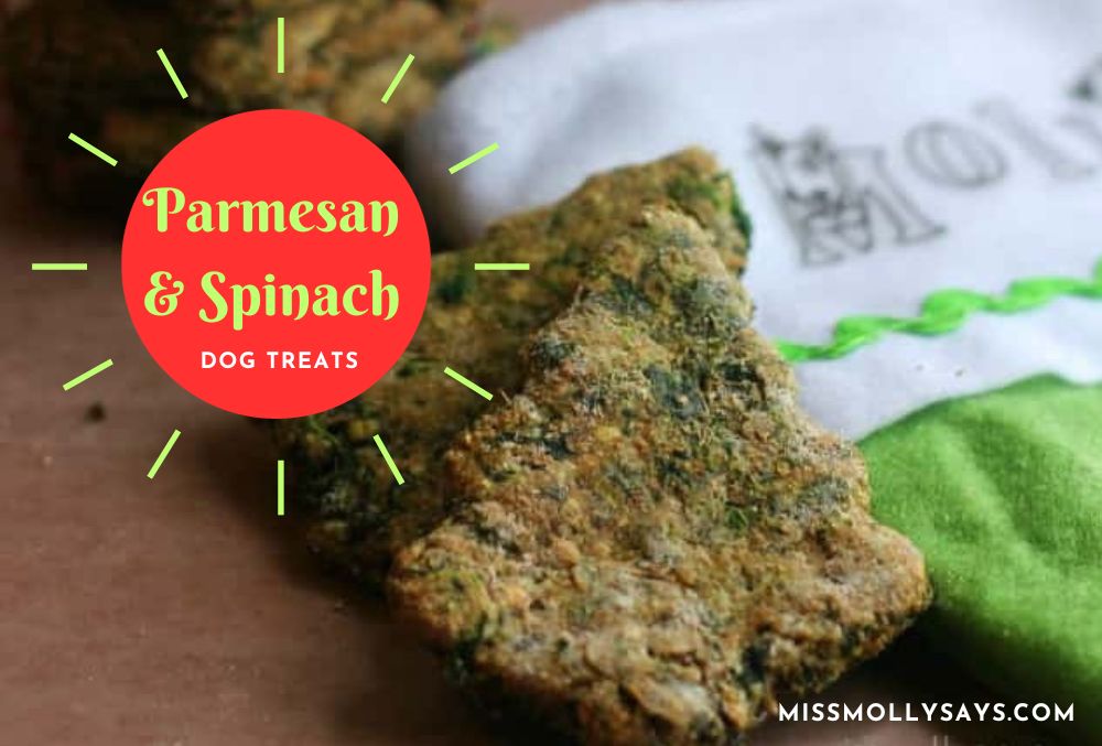 Homemade Parmesan & Spinach Dog Treats Miss Molly Says