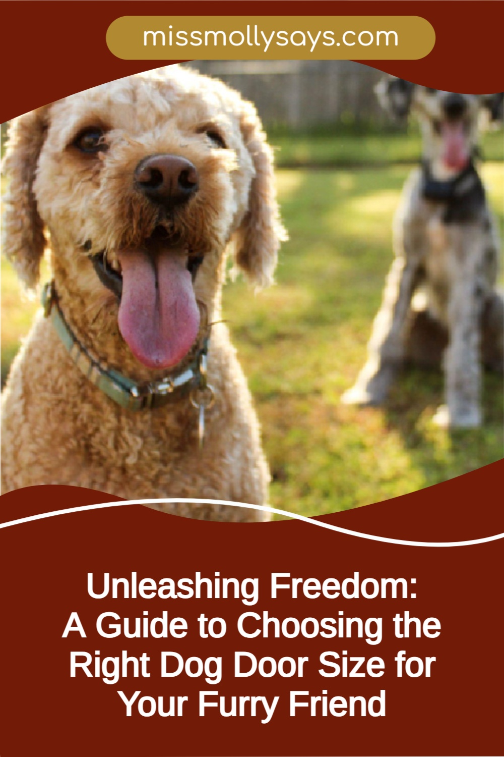 A Guide to Choosing the Right Dog Door Size for Your Furry Friend