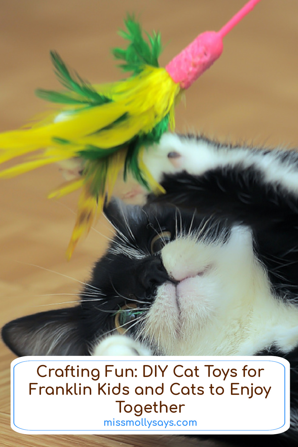 DIY Cat Toys for Franklin Kids and Cats to Enjoy Together
