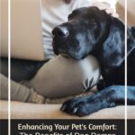 Enhancing Your Pet's Comfort: The Benefits of Dog Ramps for Sofas