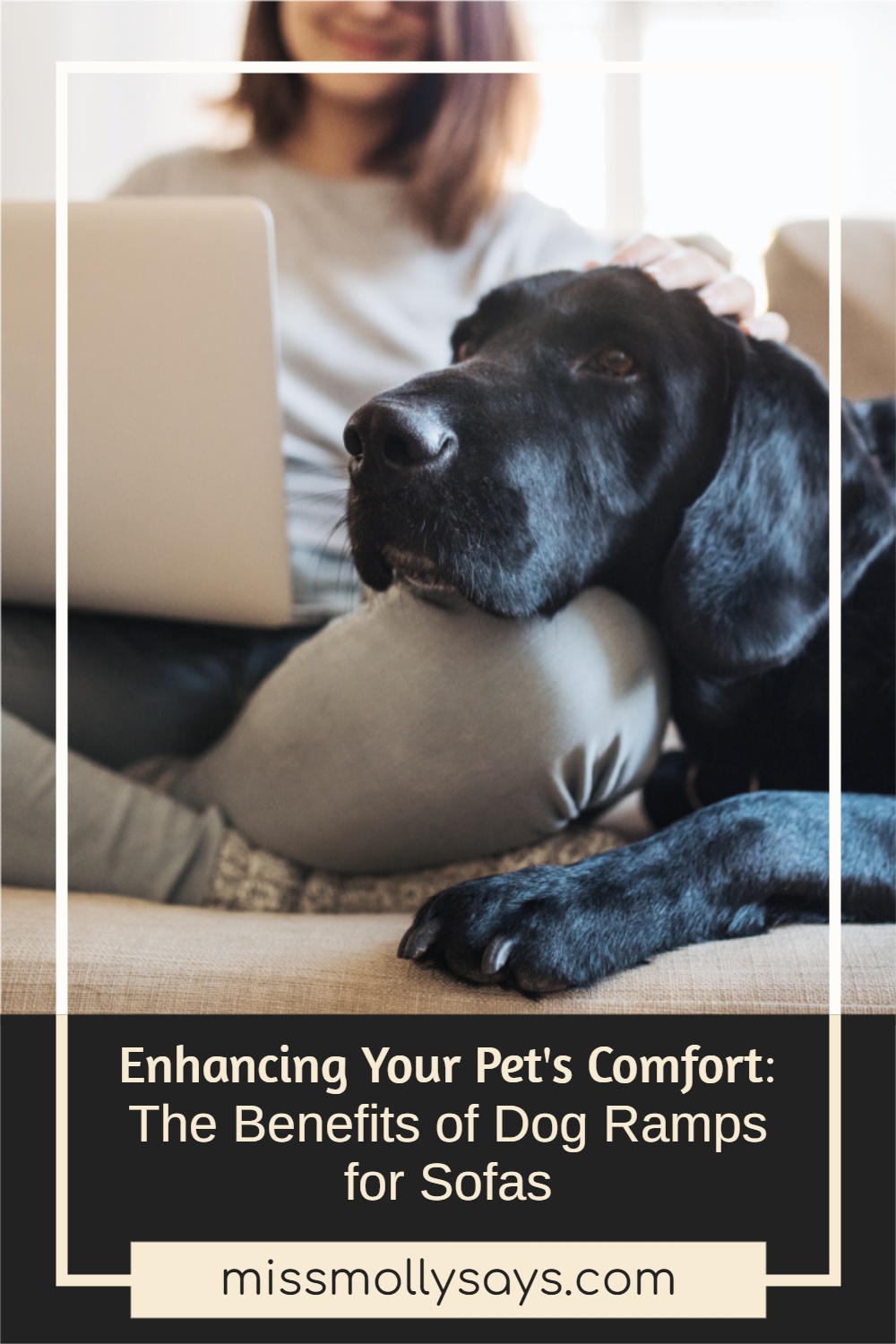 Enhancing Your Pet's Comfort The Benefits of Dog Ramps for Sofas