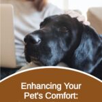 Enhancing Your Pet's Comfort: The Benefits of Dog Ramps for Sofas
