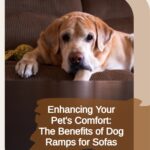Enhancing Your Pet's Comfort: The Benefits of Dog Ramps for Sofas