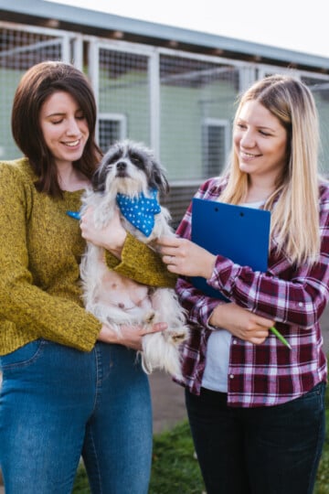 Woman adopting a dog from kennel