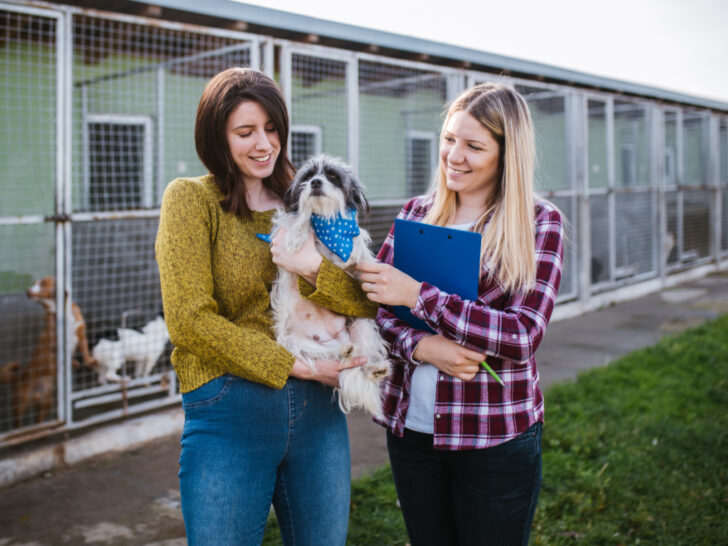 Woman adopting a dog from kennel