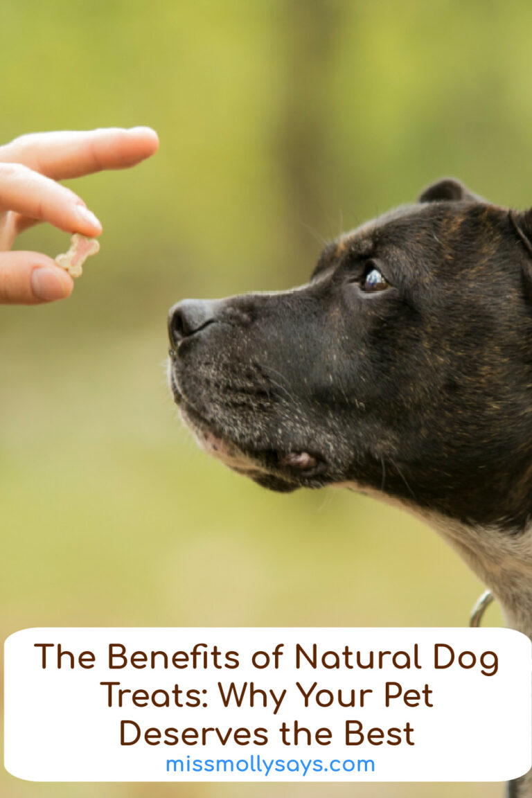 The Benefits of Natural Dog Treats - Miss Molly Says