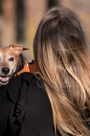 Woman facing forward holding a brown smiling dog wearing an orange vest