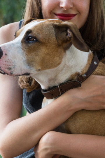 Smiling woman holding and hugging a brown and white dog on her lap