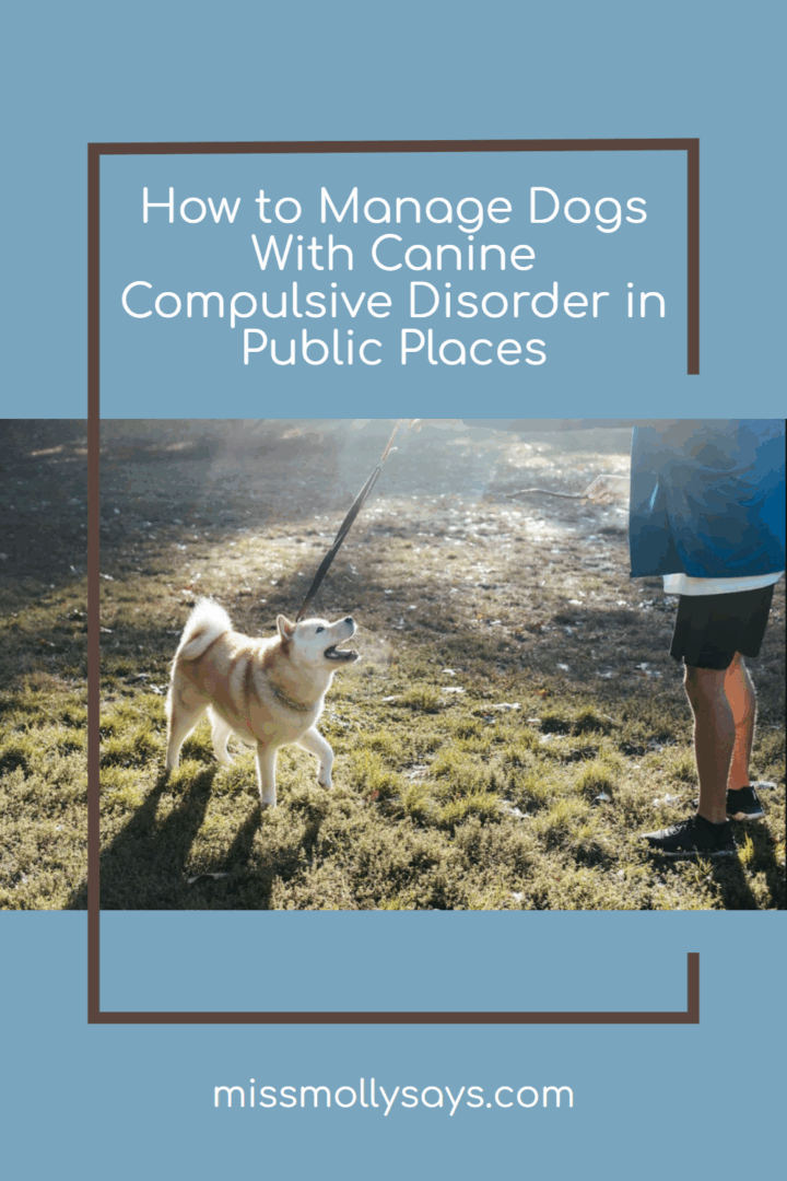 Illustration of Canine Compulsive Disorder Leaving Owner