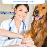 7 Ways Vet Clinics Can Reach More Pet Owners