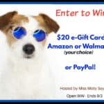 $20 e-gift card Amazon or Walmart or Paypal