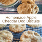 Homemade Apple Cheddar Dog Biscuits