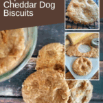 Homemade Apple Cheddar Dog Biscuits