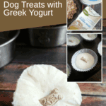 Homemade Frozen Chicken Dog Treats with Greek Yogurt