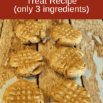 Homemade Peanut Butter Cookie Dog Treat Recipe