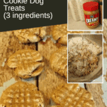 Homemade Peanut Butter Cookie Dog Treat Recipe