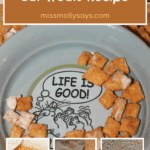 Homemade Salmon Cat Treats Recipe