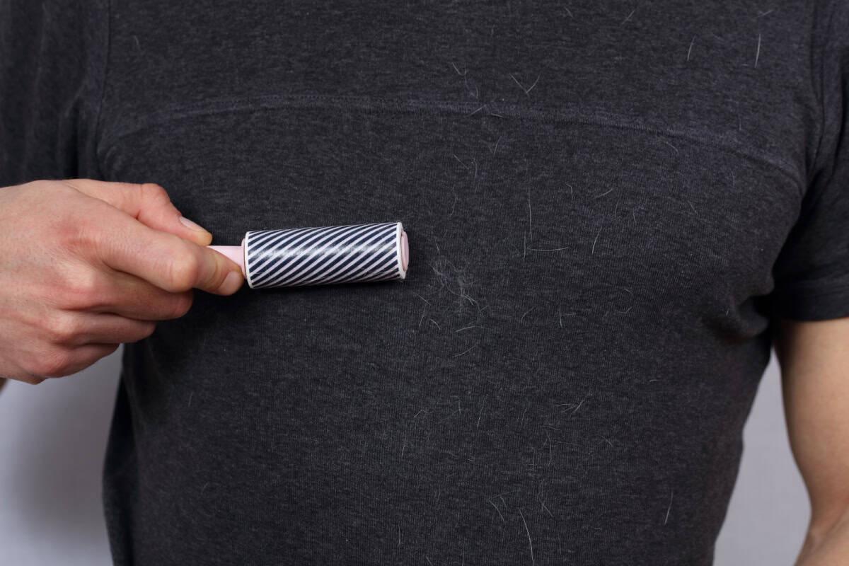 Man using a sticky roller to remove pet hair from black shirt Man using a sticky roller to remove pet hair from black shirt