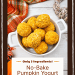 No-Bake Pumpkin Yogurt Dog Treats Only 3 Ingredients!